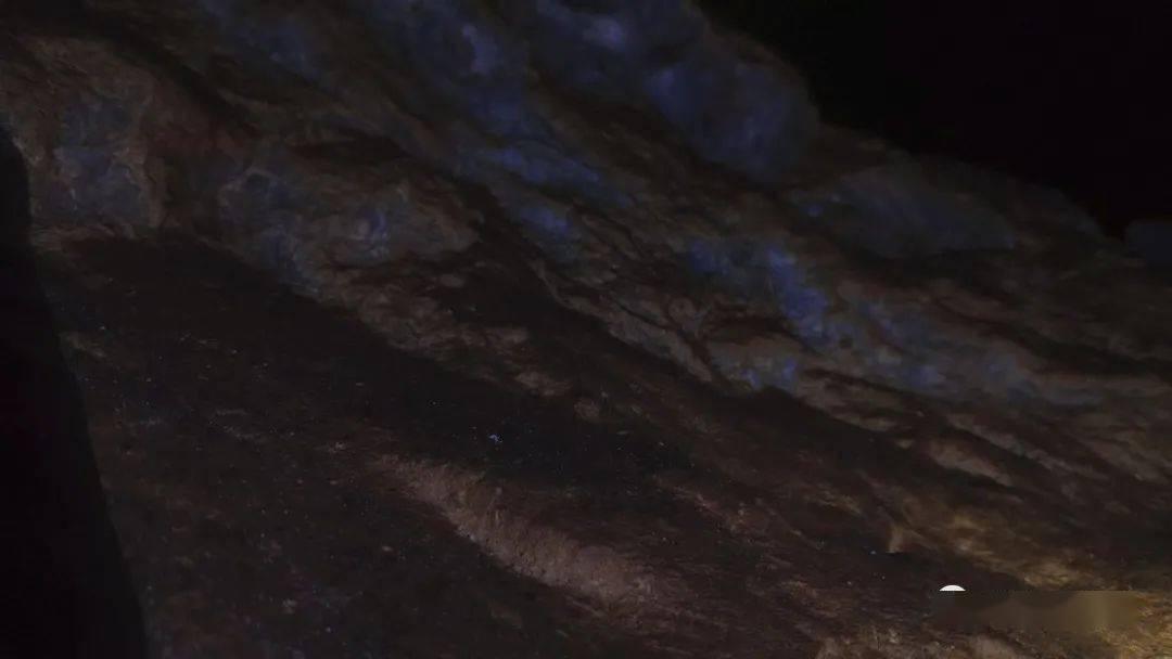 竞技宝登录